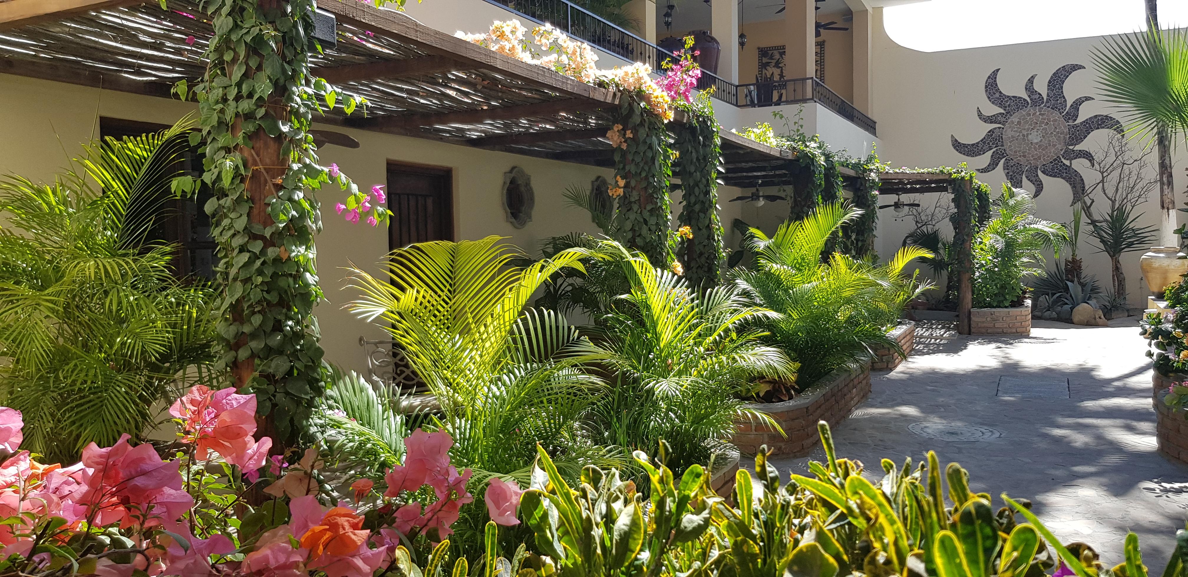 Posada De Las Flores La Paz Extérieur photo